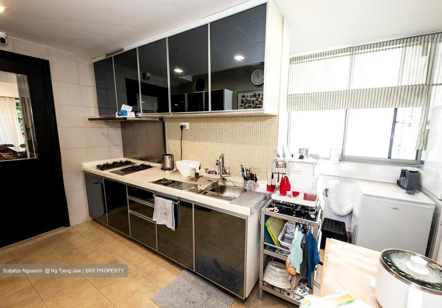 CityVista Residences (D9), Condominium #496027291